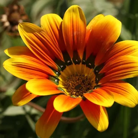 Eco-art Farm Гостевой дом