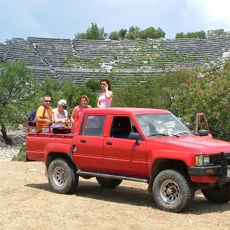 Eco-art Farm Гостевой дом