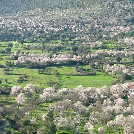 Гостевой дом Eco-art Farm *