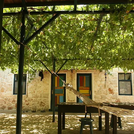 Eco-art Farm Гостевой дом *