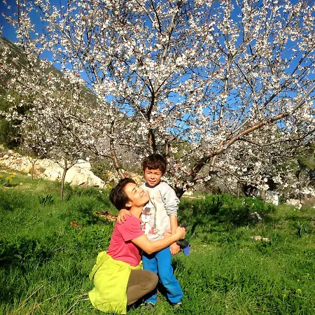 Гостевой дом Eco-art Farm Каш