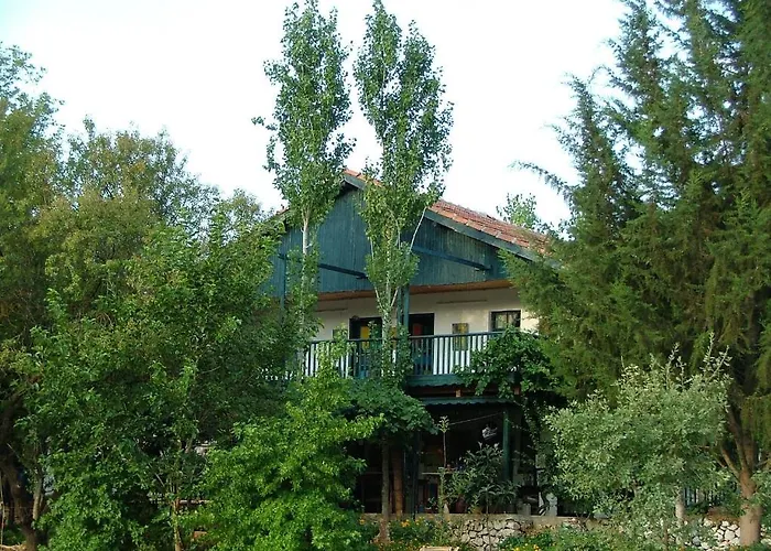 Eco-art Farm Гостьовий будинок Каш