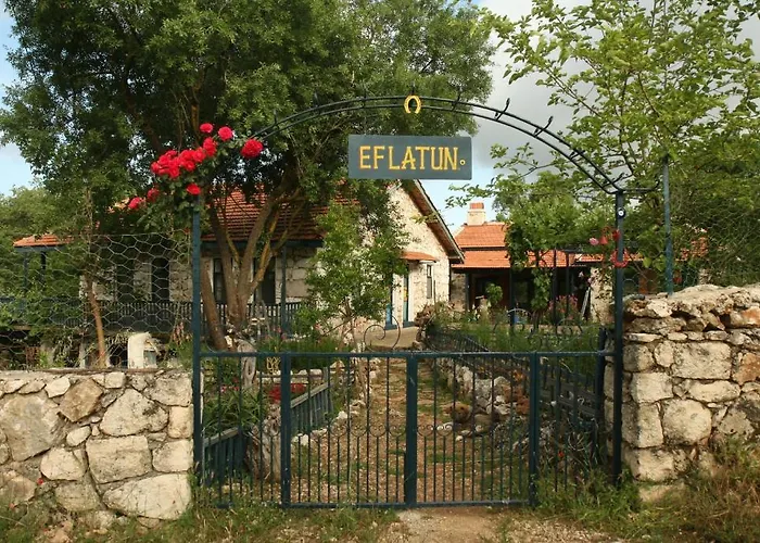 Гостьовий будинок Eco-art Farm