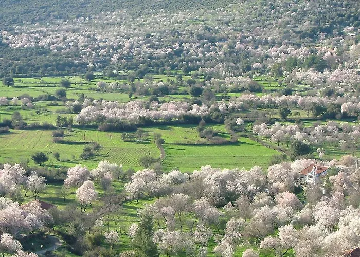 Гостьовий будинок Eco-art Farm *