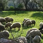 Eco-art Farm Κας