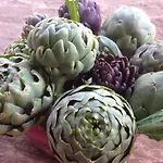 Eco-art Farm Κας