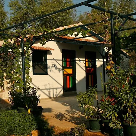 Gasthof Eco-art Farm