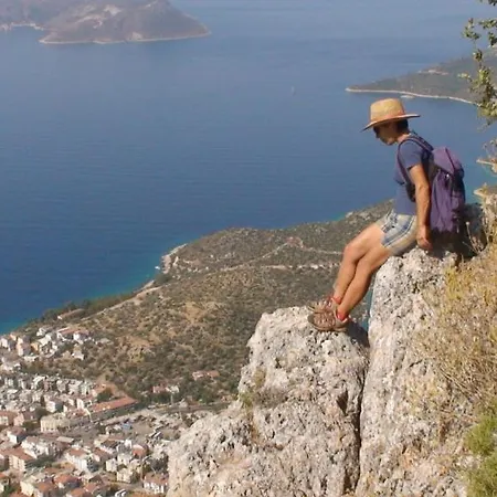 בית הארחה Eco-art Farm קס