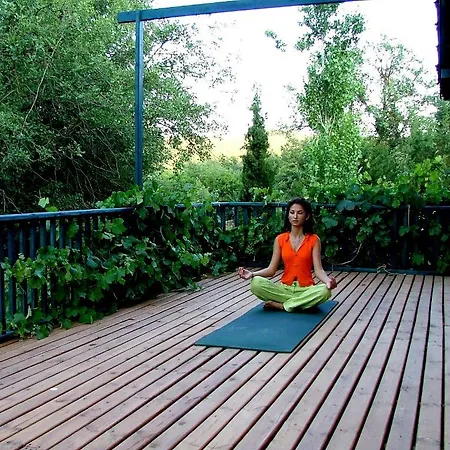 Eco-art Farm בית הארחה *