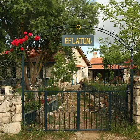 בית הארחה Eco-art Farm