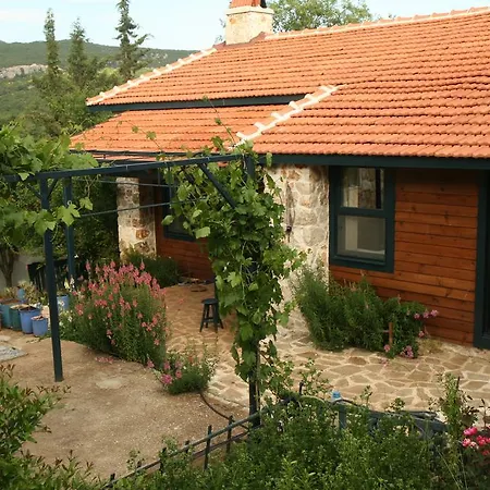 בית הארחה Eco-art Farm