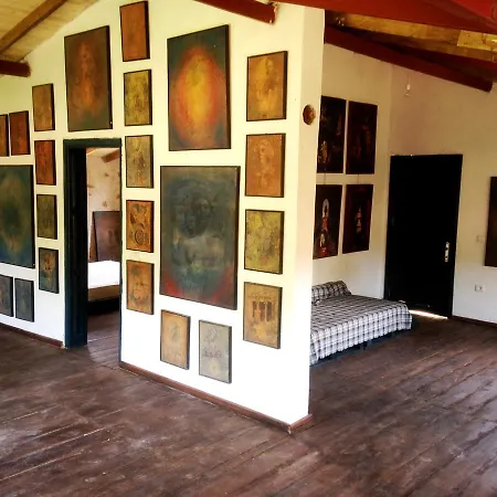 בית הארחה Eco-art Farm קס