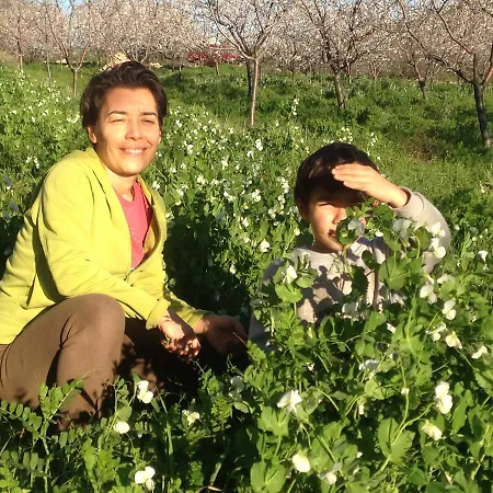 בית הארחה Eco-art Farm