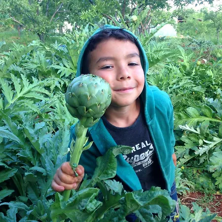 בית הארחה Eco-art Farm קס