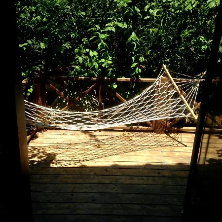Eco-art Farm *