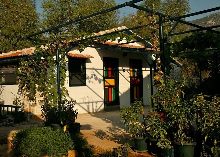 Gasthuis Eco-art Farm