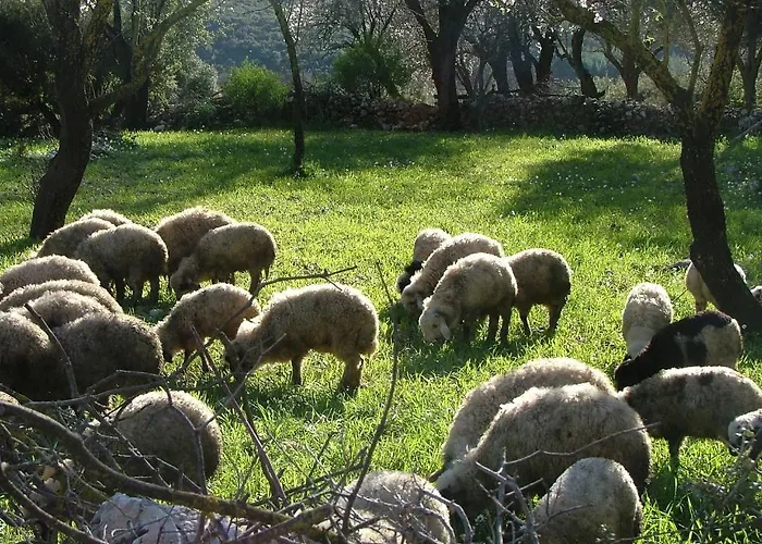 Eco-art Farm Kaş