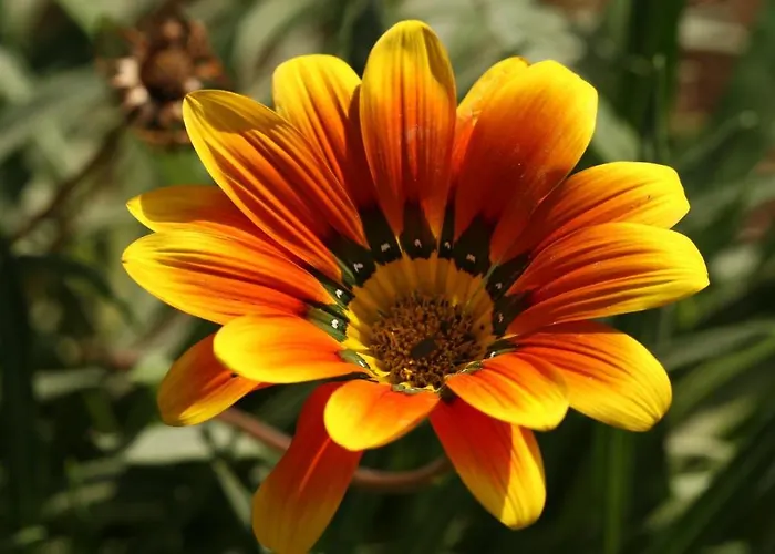 Eco-art Farm Gasthuis