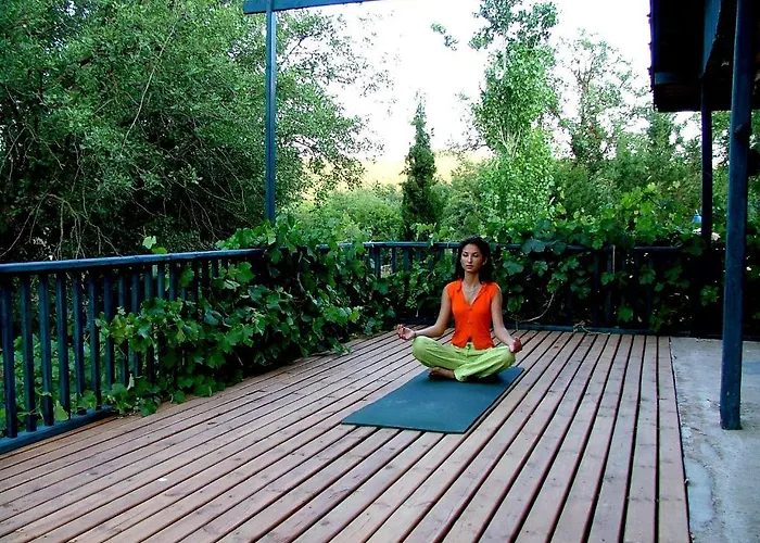 Eco-art Farm Gasthuis *