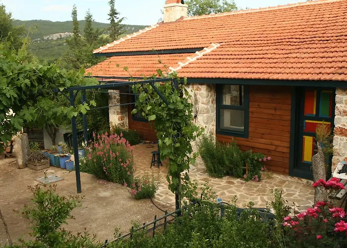 Gasthuis Eco-art Farm