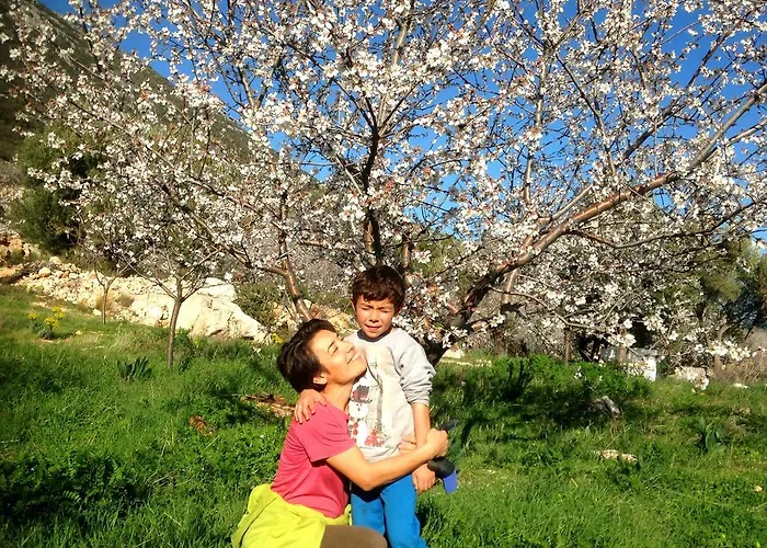 Gasthuis Eco-art Farm Kaş