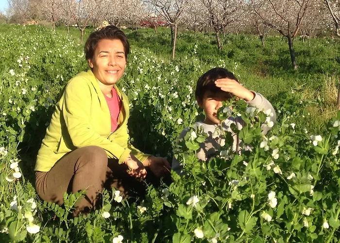 Casa de hóspedes Eco-art Farm