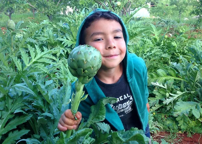 Gasthuis Eco-art Farm Kaş