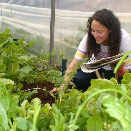Eco-art Farm *