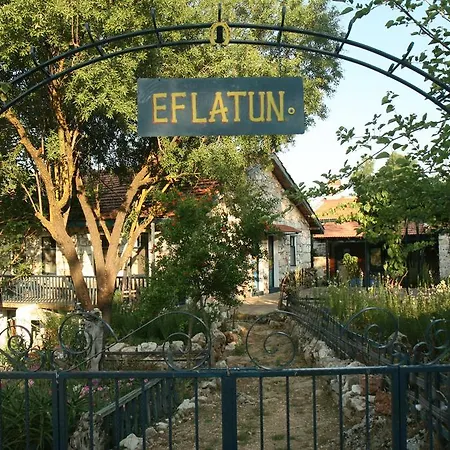 Eco-art Farm * Kaş