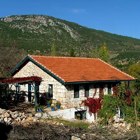 Eco-art Farm *
