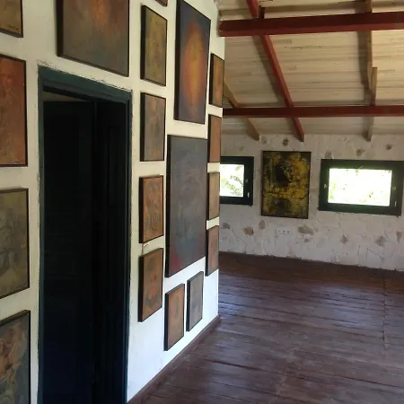 Eco-art Farm 카스